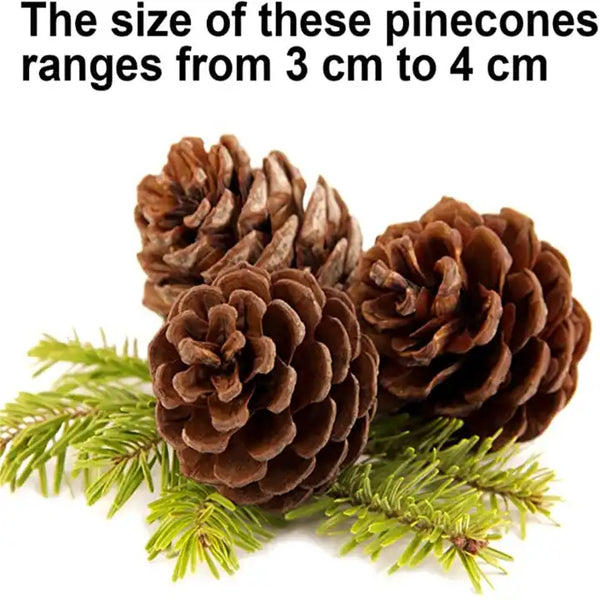 Christmas Pine Cones Ornaments 10 Pcs